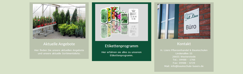lueers-website-teaser-menu