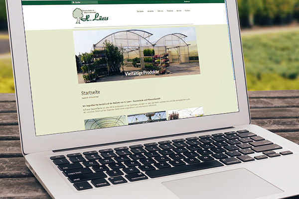 teaser-lueers-website