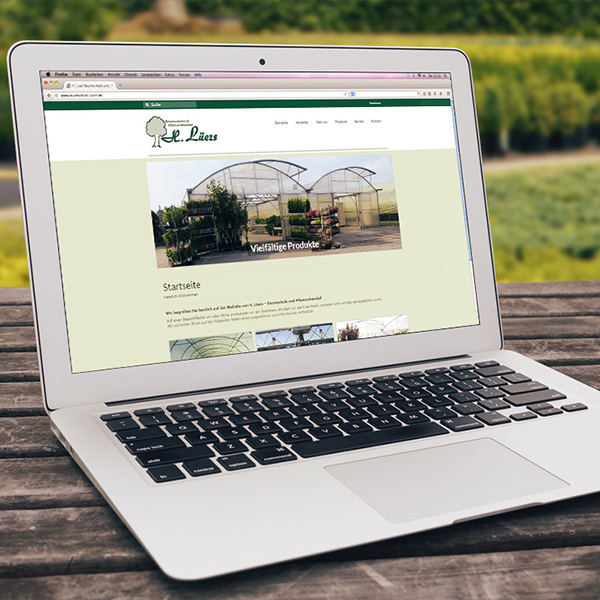 teaser-lueers-website
