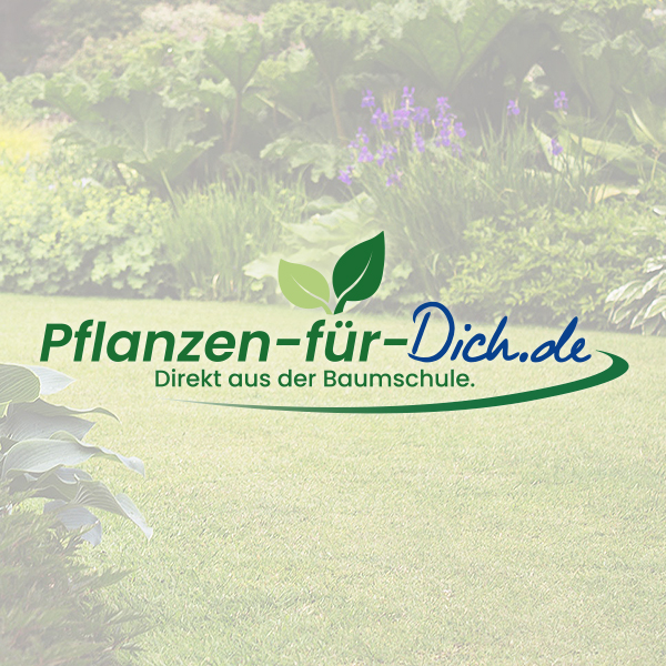 pflanzen-für-dich-teaser