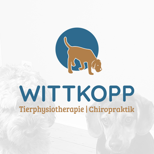 tierphysio-wittkopp-teaser