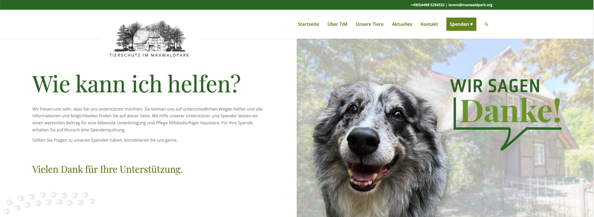TiM_Website-Spenden